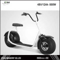 2016 Modelo Novo Tipo de freio de disco Motocicleta elétrica para adultos Scooter elétrico Citycoco